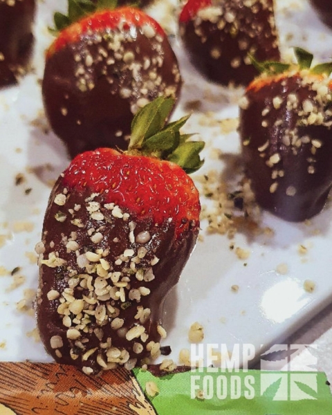 Hemp Recipes - Chocolate Coated Hemp Strawberries
