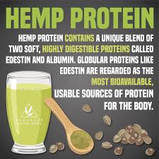 What Makes Hemp The Most Potent Plant-Based Protein?
