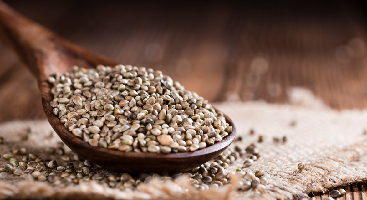 Hemp Seed Oil Vs. Fish Oil | #1 Reason To Switch For Better Health