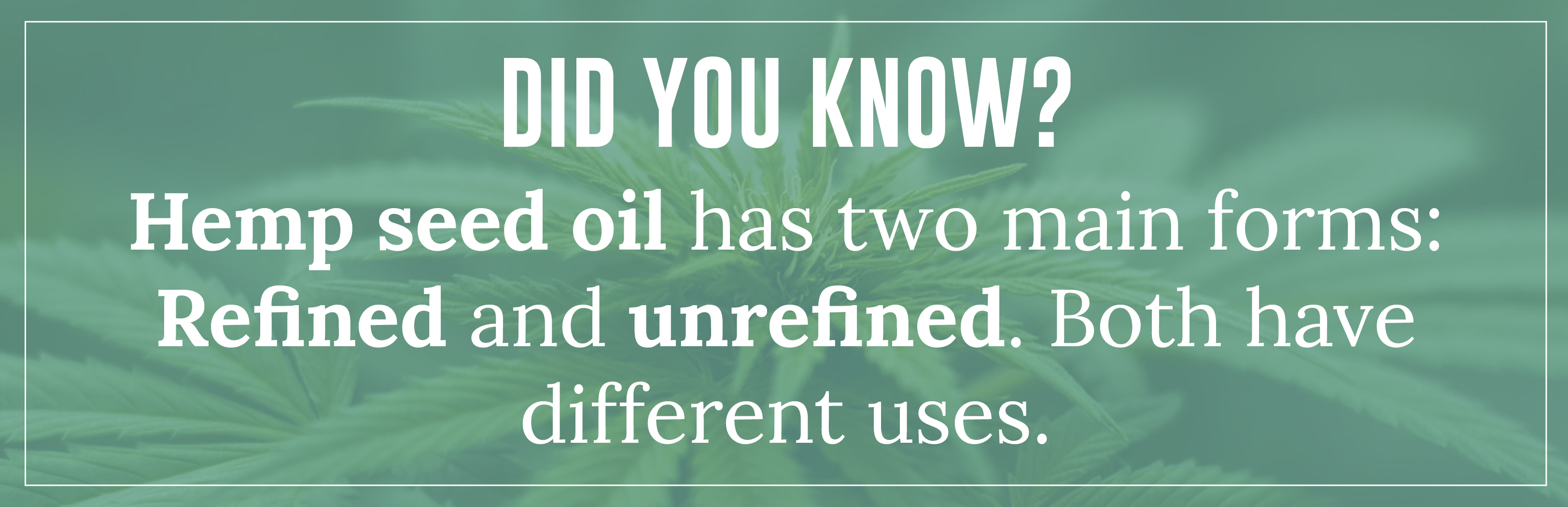 Hemp seed oil has two main forms: Refined and unrefined. Both have different uses.
