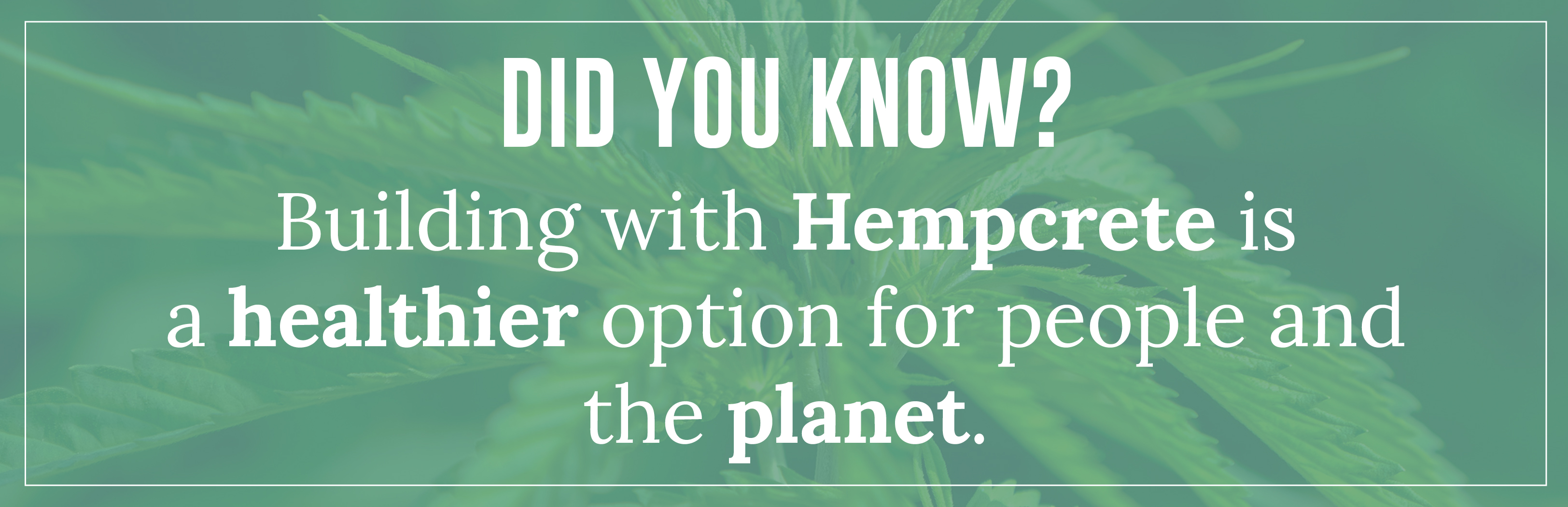 Building with Hempcrete is a healthier option for people and the planet.