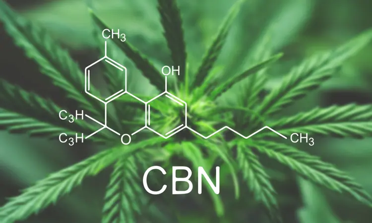 CBN- Cannabinol 