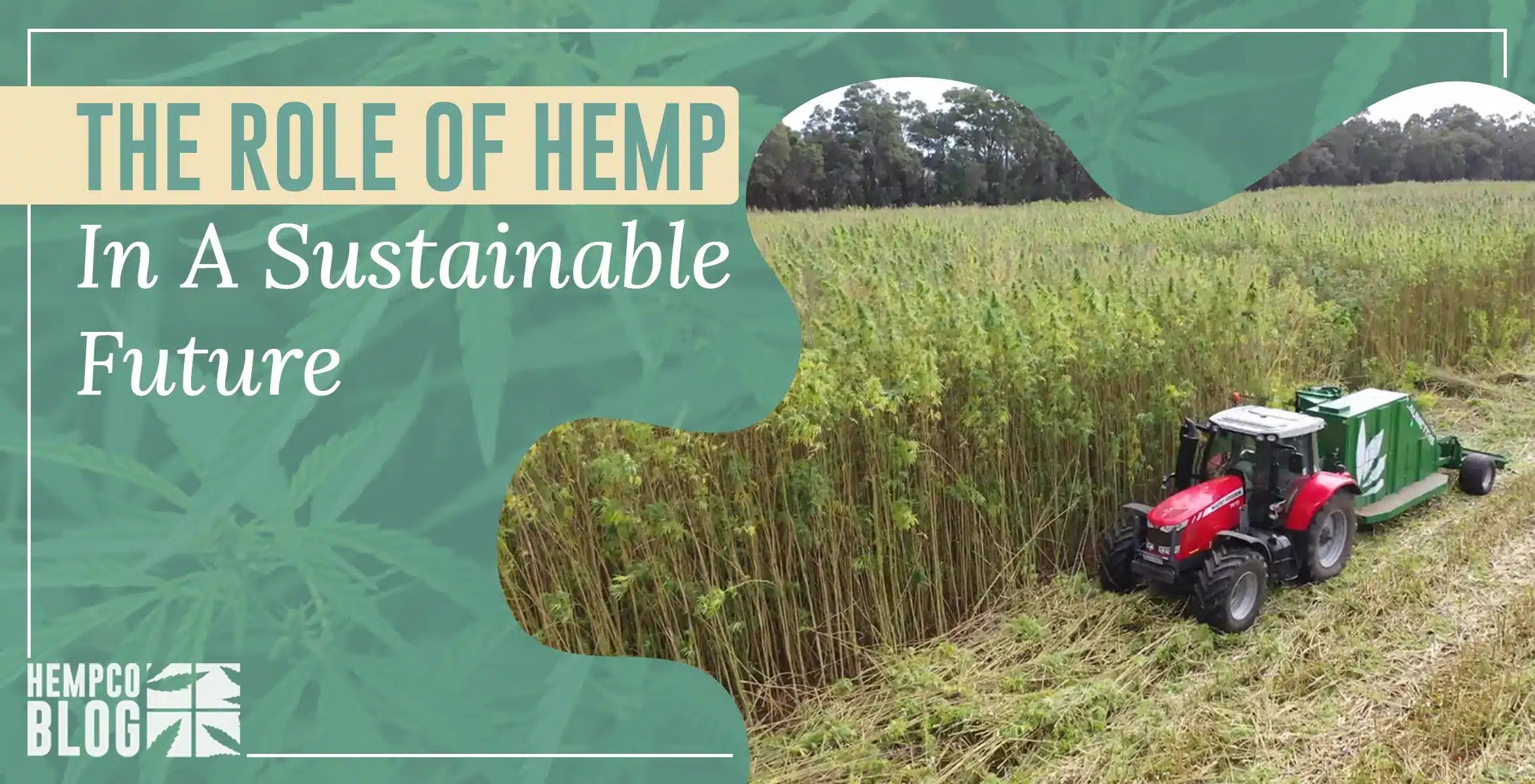 The Role of Hemp in a Sustainable Future